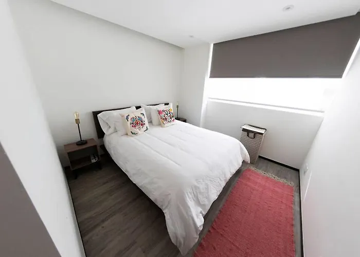 Renovated, Modern And Cozy Condesa Apt On Amsterdam Ave Mexico City